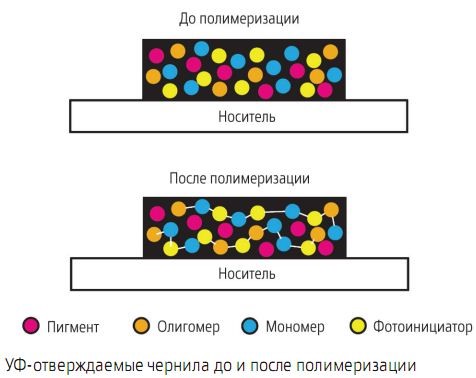 УФ-отверждаемые чернила до и после полимеризации