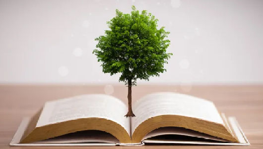 Максимально экологичное печатное изделие: что для этого нужно?