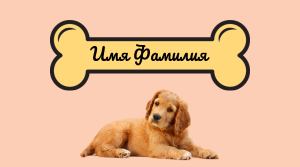 Шаблони візиток онлайн, Макет візитки №4466