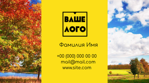 Шаблони візиток онлайн, Макет візитки №4919