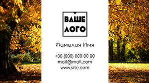 Шаблони візиток онлайн, Макет візитки №2740