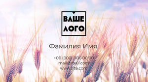 Шаблони візиток онлайн, Макет візитки №2757