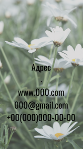 Шаблони візиток онлайн, Макет візитки №2704