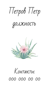 Шаблони візиток онлайн, Макет візитки №5047