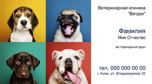 Шаблони візиток онлайн, Макет візитки №4986