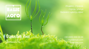 Шаблони візиток онлайн, Макет візитки №2514