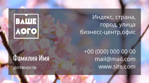 Шаблони візиток онлайн, Макет візитки №2201