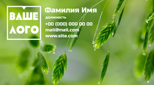 Шаблони візиток онлайн, Макет візитки №2477