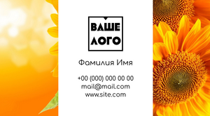 Шаблони візиток онлайн, Макет візитки №2162